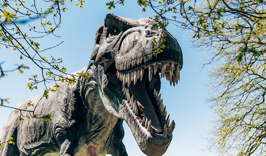 What is the Real Reason Behind the Extinction of Dinosaurs?