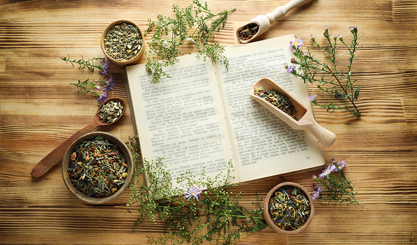 Facts of Popular Herbal Supplements, Secrets and Truths of Mediatic Herbs